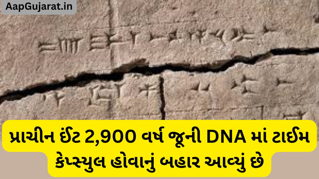 પ્રાચીન ઈંટ 2900 વર્ષ જૂની